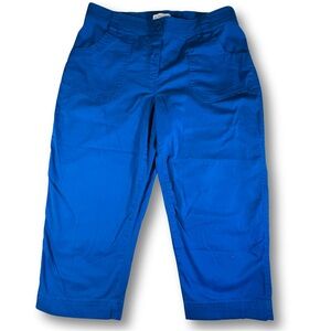 Kim Rogers Capri Pants Dark Blue Women’s Size 10